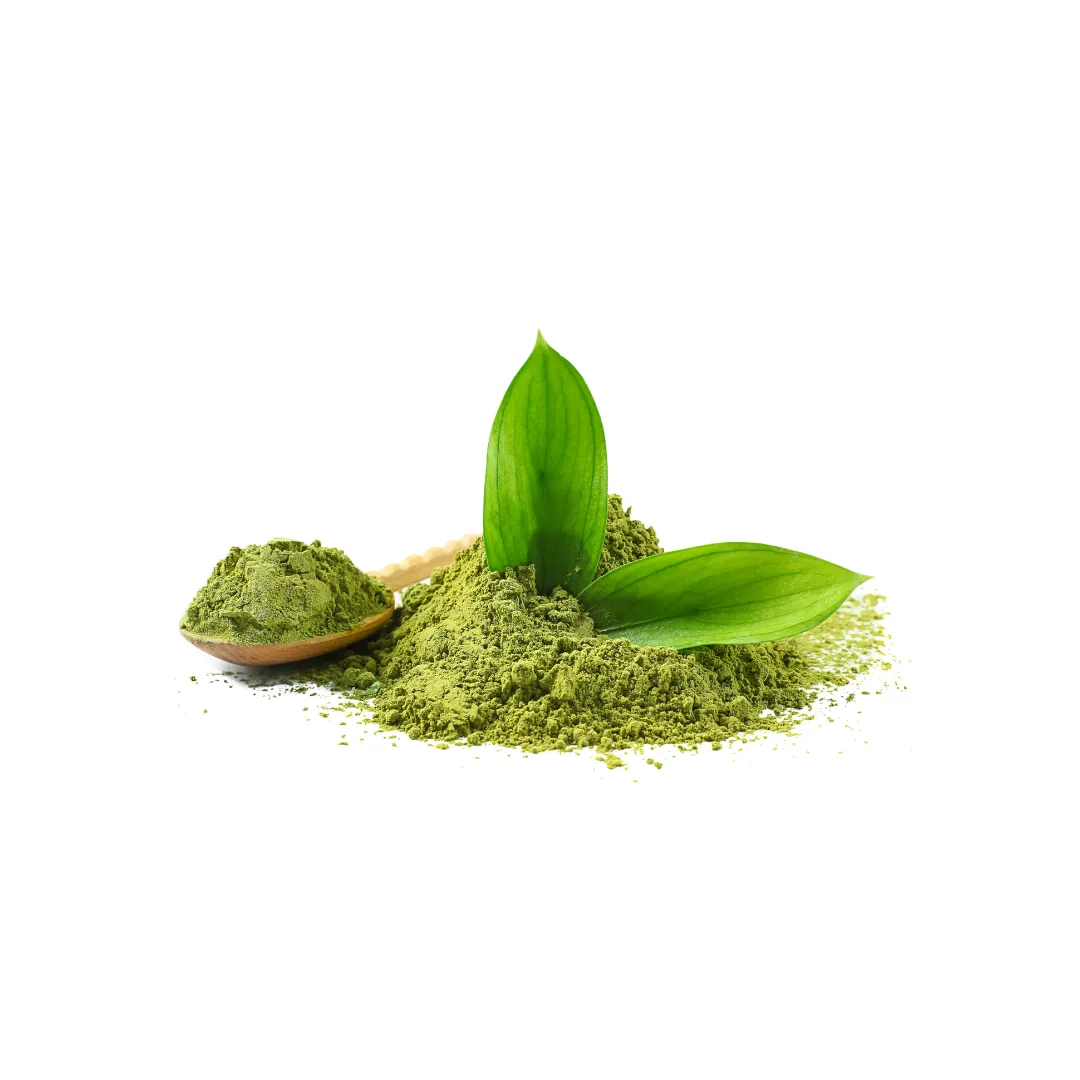 Garcinia Cambogia ingrediente Adipe Patch